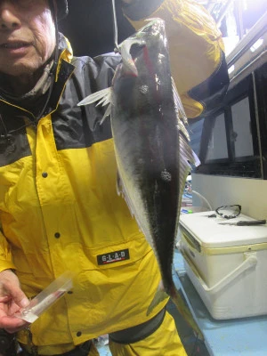 松福丸の2025年11月22日(土)3枚目の写真