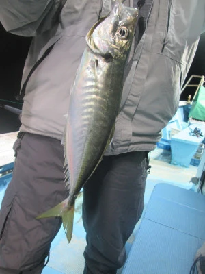 松福丸の2025年11月22日(土)4枚目の写真