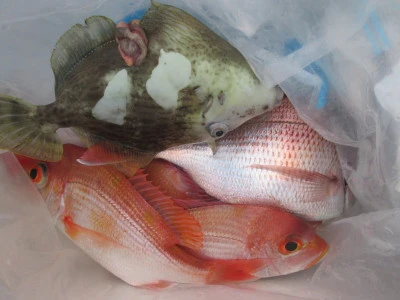 松福丸の2025年11月16日(日)3枚目の写真