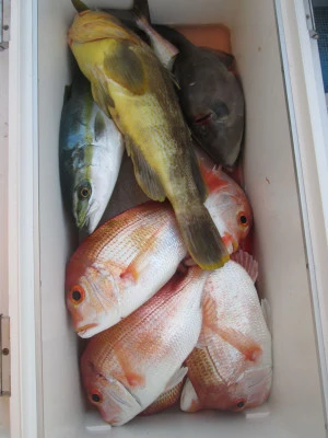 松福丸の2025年11月16日(日)4枚目の写真