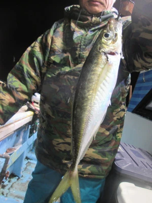 松福丸の2025年11月15日(土)2枚目の写真