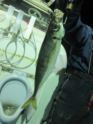 松福丸の2025年11月15日(土)3枚目の写真