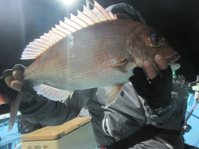 松福丸の2025年11月15日(土)4枚目の写真