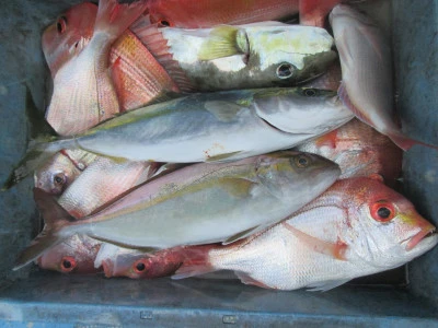 松福丸の2025年11月15日(土)5枚目の写真