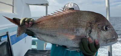 八坂丸の2025年11月27日(木)2枚目の写真