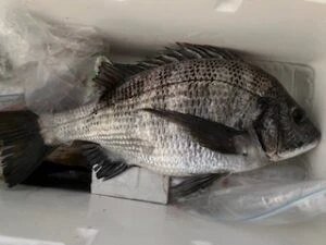 民宿とねの2025年11月27日(木)2枚目の写真