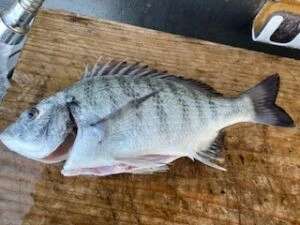 民宿とねの2025年11月27日(木)4枚目の写真