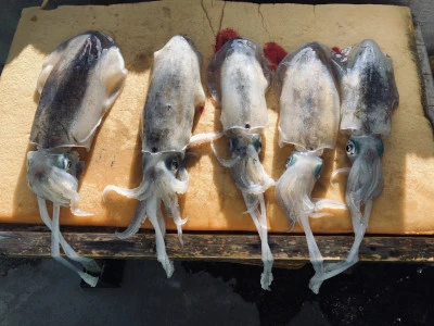 誠丸の2025年11月24日(月)3枚目の写真