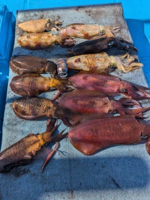 日正丸の2025年11月30日(日)2枚目の写真