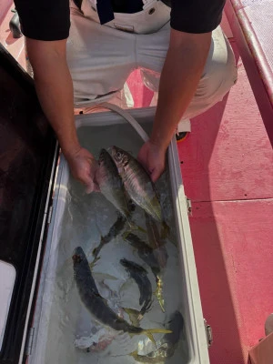 第八幸松丸の2025年11月30日(日)5枚目の写真