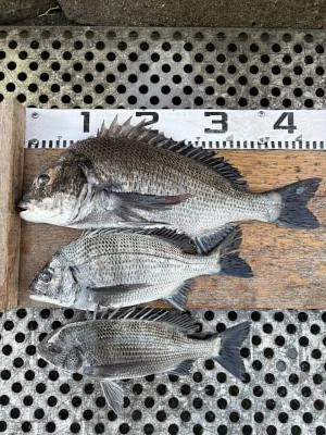 金丸渡船の2025年11月30日(日)2枚目の写真