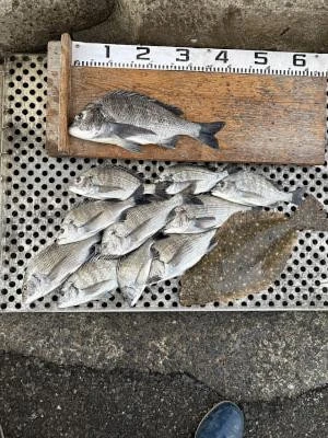 金丸渡船の2025年11月30日(日)3枚目の写真