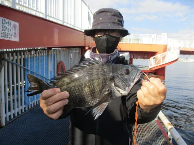 尼崎市立魚つり公園の2025年12月1日(月)1枚目の写真