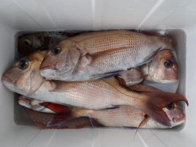 梅花丸の2025年12月2日(火)5枚目の写真