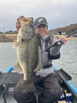 見晴茶屋の2025年11月25日(火)1枚目の写真