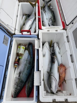 順栄丸の2025年12月1日(月)4枚目の写真