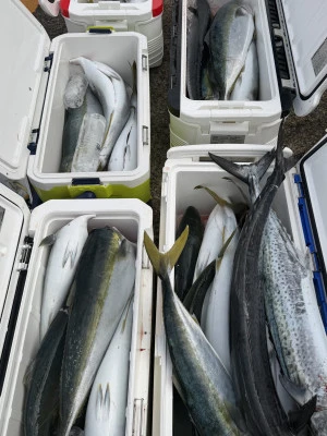 順栄丸の2025年11月29日(土)4枚目の写真