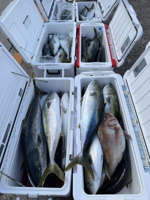 順栄丸の2025年11月24日(月)4枚目の写真