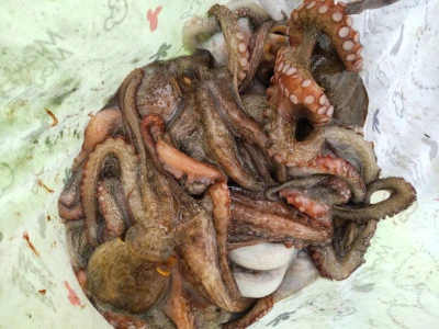 鴨下丸kawanaの2025年12月2日(火)3枚目の写真