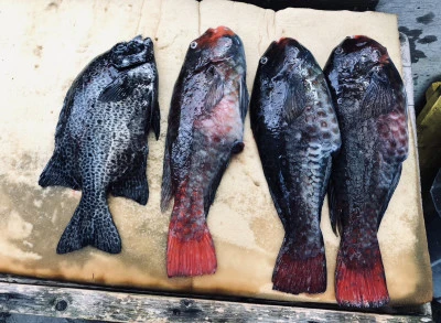 誠丸の2025年12月2日(火)1枚目の写真