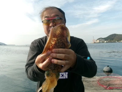 由良海つり公園&釣堀ランドの2025年12月2日(火)2枚目の写真