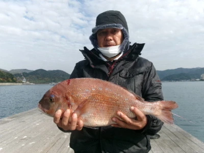 由良海つり公園&釣堀ランドの2025年12月2日(火)3枚目の写真