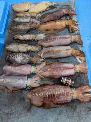 日正丸の2025年12月2日(火)2枚目の写真