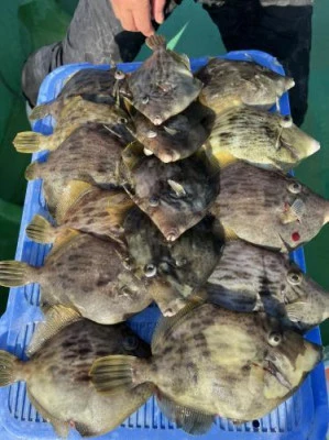 翔太丸の2025年12月2日(火)5枚目の写真