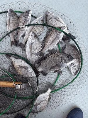 金丸渡船の2025年12月2日(火)3枚目の写真