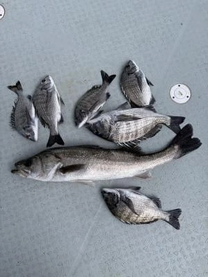 金丸渡船の2025年12月2日(火)5枚目の写真