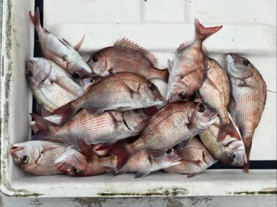 梅花丸の2025年12月3日(水)4枚目の写真