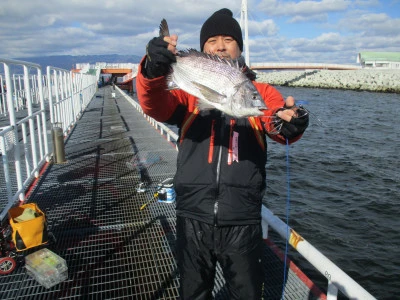 尼崎市立魚つり公園の2025年12月4日(木)1枚目の写真
