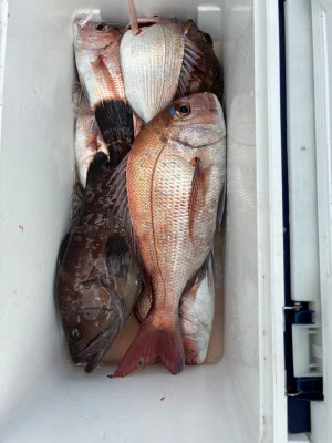 利東丸の2025年11月16日(日)3枚目の写真