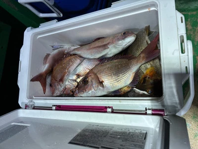 利東丸の2025年11月11日(火)3枚目の写真