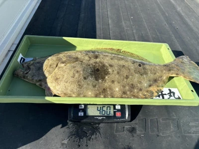 臼井丸の2025年12月4日(木)4枚目の写真