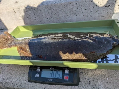 臼井丸の2025年12月4日(木)5枚目の写真