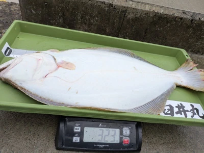 臼井丸の2025年12月3日(水)4枚目の写真