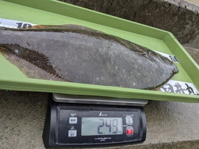 臼井丸の2025年12月3日(水)5枚目の写真