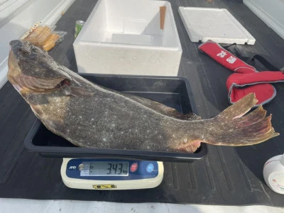 秀丸の2025年12月2日(火)3枚目の写真