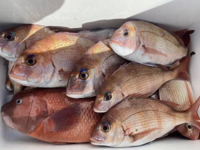 梅花丸の2025年12月5日(金)4枚目の写真