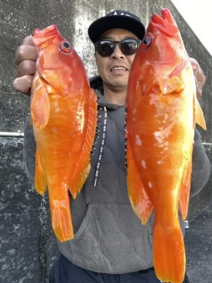 松栄丸の2025年11月30日(日)4枚目の写真