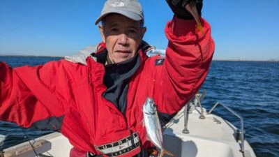 桜丸の2025年11月23日(日)1枚目の写真