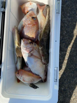 フィッシングセンター 海友の2025年11月30日(日)2枚目の写真