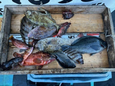 とせん丸の2025年12月6日(土)4枚目の写真