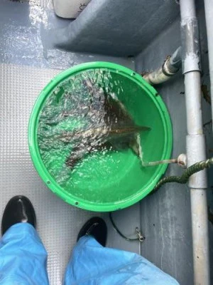 佐円丸の2025年12月6日(土)5枚目の写真