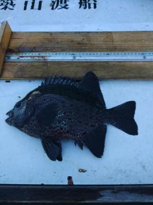 築山渡船の2025年12月6日(土)1枚目の写真