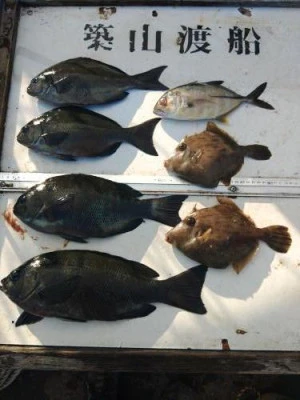 築山渡船の2025年12月6日(土)2枚目の写真