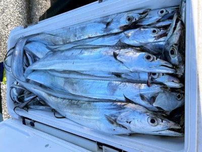 橋安丸の2025年12月7日(日)1枚目の写真