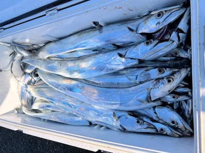 橋安丸の2025年12月7日(日)2枚目の写真