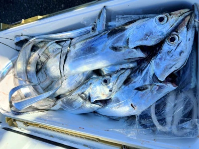 橋安丸の2025年12月7日(日)3枚目の写真